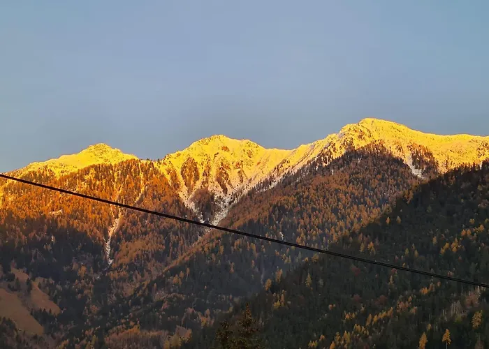 Apartament Pepper Stall